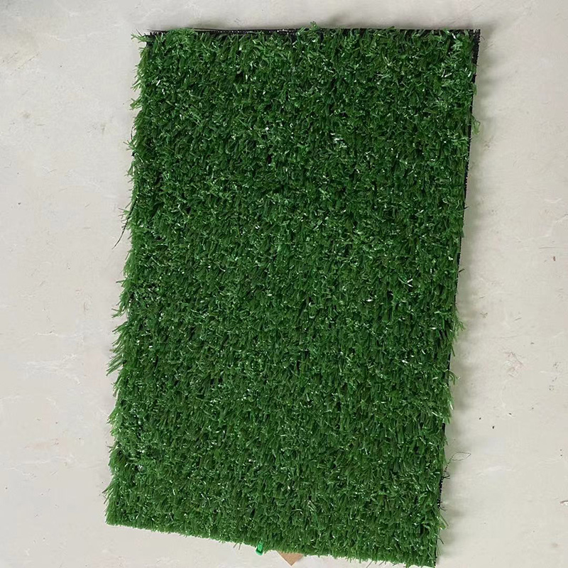 Backyard artificial grass