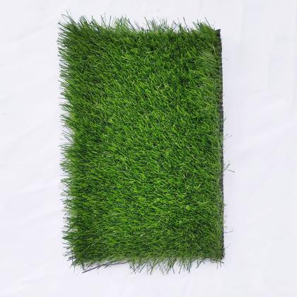 Garden leisure grass