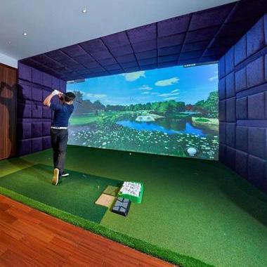 simulator impact screens for golf clubs delingolf