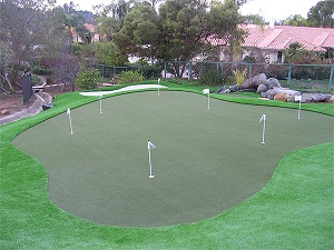 Introduction of artificial golf turf